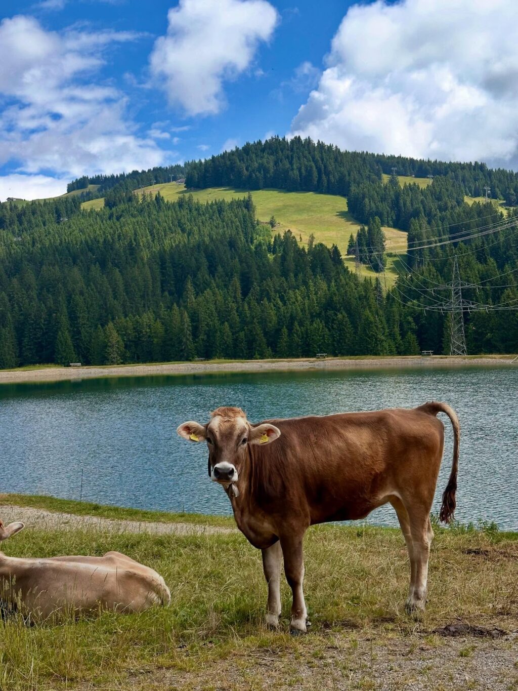 Instagram post from filzalmbrixen. This post is in position 7.